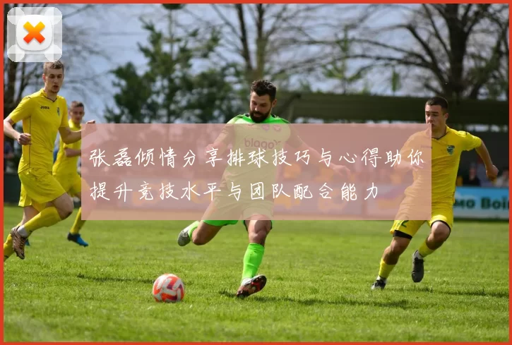 张磊倾情分享排球技巧与心得助你提升竞技水平与团队配合能力