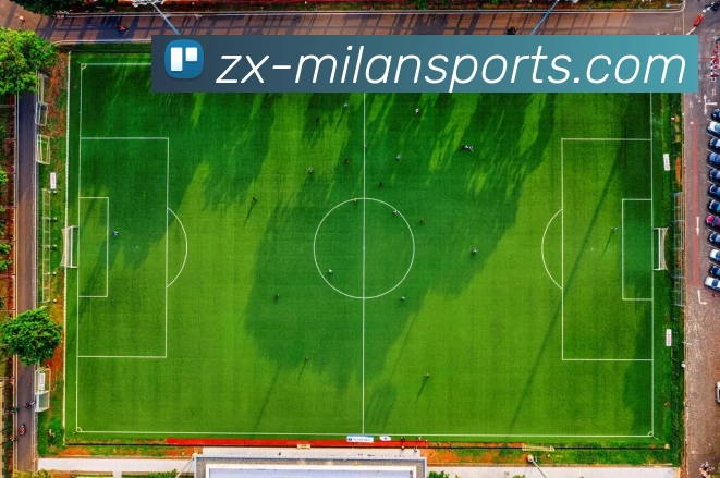 mk体育平台生态图